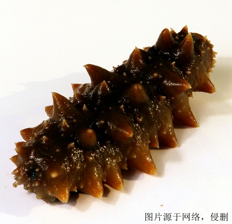 印度尼西亞進口報關公司哪家好