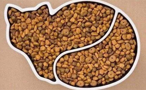 進口貓糧清關代理 【進口貓糧清關代理】的流程,貓糧進口這樣做