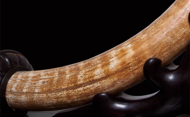 1607067411370561.jpg 企業(yè)微信截圖_16070673051830_副本.jpg