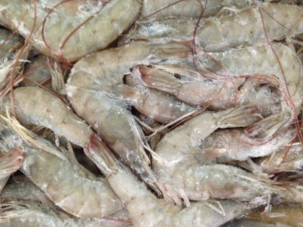 1638359054423181.jpg 冷凍水產品進口清關資料簡介_進口水產品標簽問題_副本.jpg