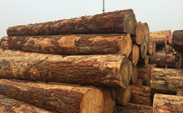 1628675477266821.jpg 原木進(jìn)口清關(guān)上海代理公司