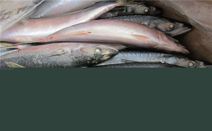 俄羅斯水產(chǎn)品進口報關(guān)代理公司 俄羅斯水產(chǎn)品進口報關(guān)