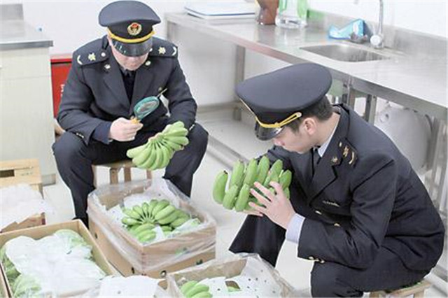 1587519869977581.jpg 越南香蕉進(jìn)口報關(guān)