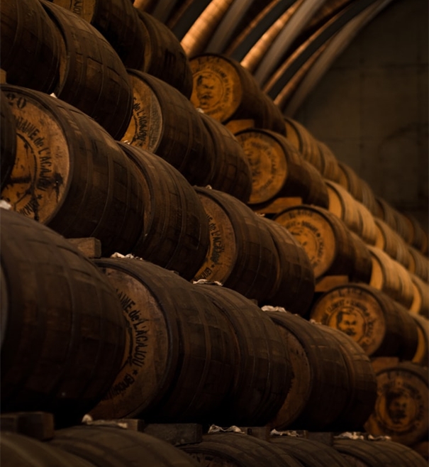 1642154218318209.jpg 智利葡萄酒進口清關代理_副本.jpg